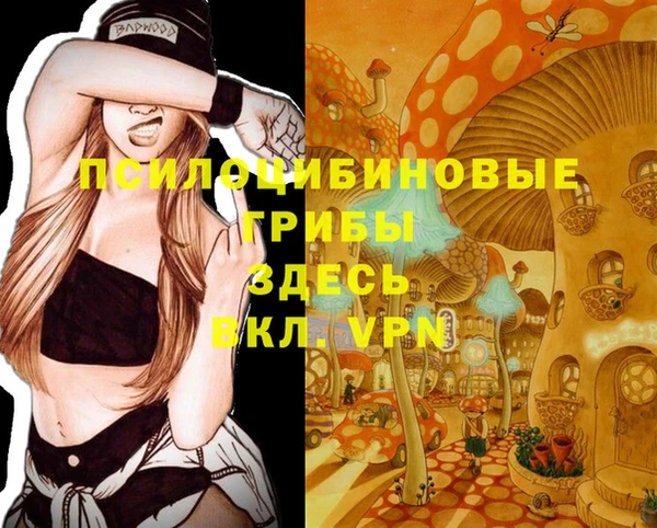 прущая мука Пересвет