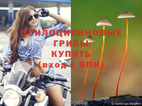 spice Балабаново