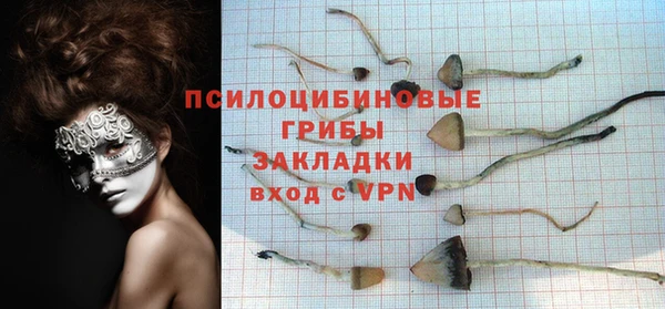 spice Балабаново